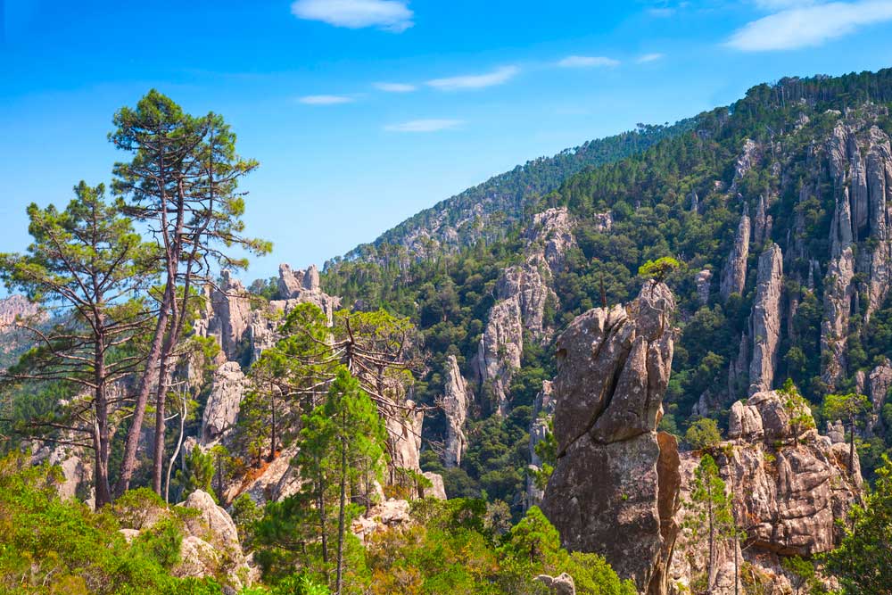 Randonnées et Découverte de la Nature - Le massif de l'Ospedale