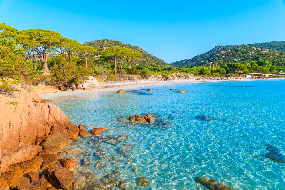 La Plage de Palombaggia Un Joyau Méditerranéen Près de Porto Vecchio