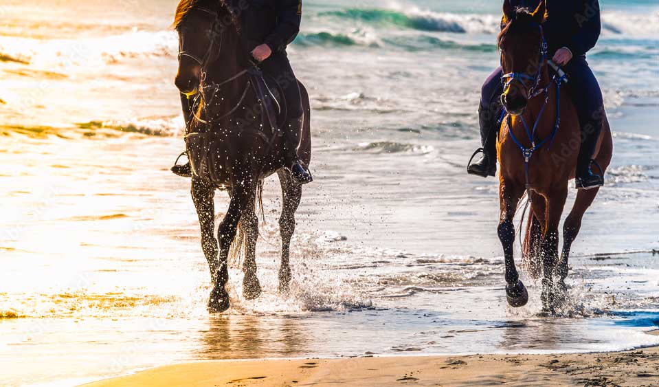 Les promenades à cheval autour de Santa Giulia entre terre et mer