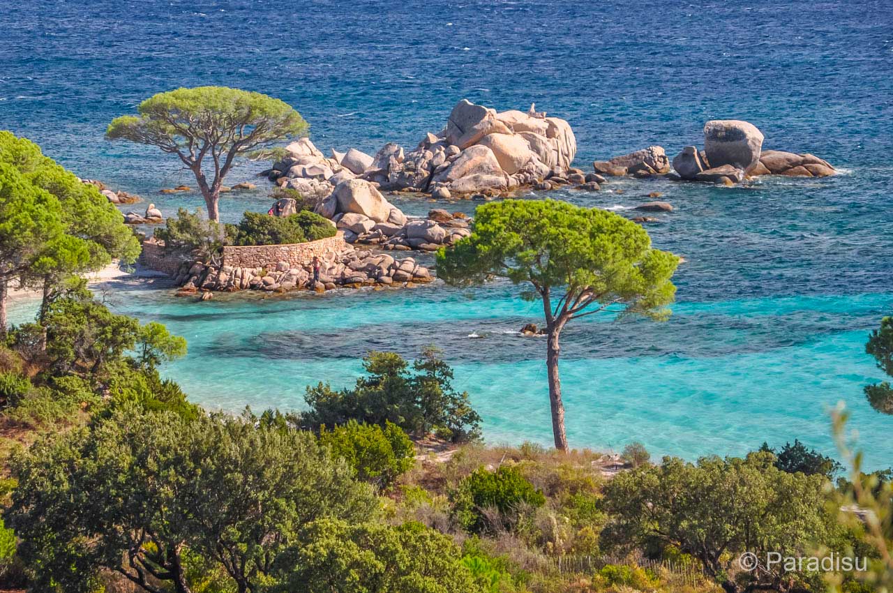 Les Randonnées autour de Palombaggia explorer le maquis corse